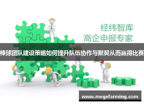 棒球团队建设策略如何提升队伍协作与默契从而赢得比赛