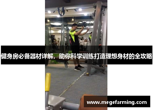 健身房必备器材详解，助你科学训练打造理想身材的全攻略