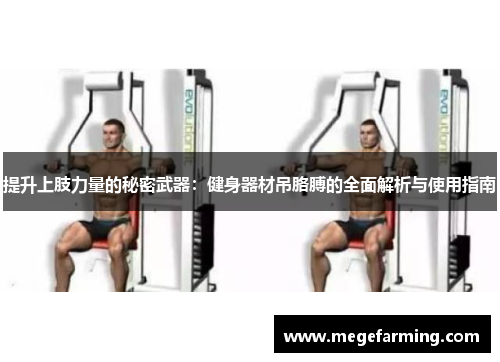 提升上肢力量的秘密武器：健身器材吊胳膊的全面解析与使用指南