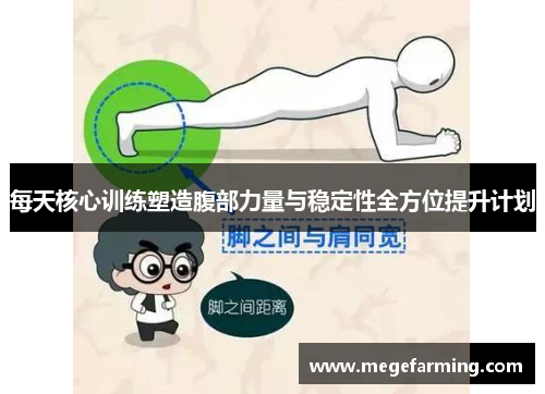 每天核心训练塑造腹部力量与稳定性全方位提升计划