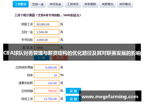 CBA球队财务管理与薪资结构的优化路径及其对联赛发展的影响