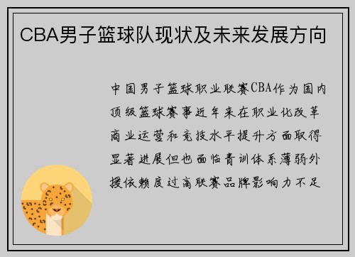 CBA男子篮球队现状及未来发展方向