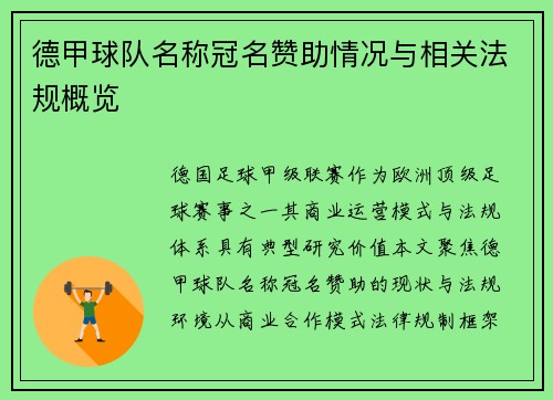 德甲球队名称冠名赞助情况与相关法规概览