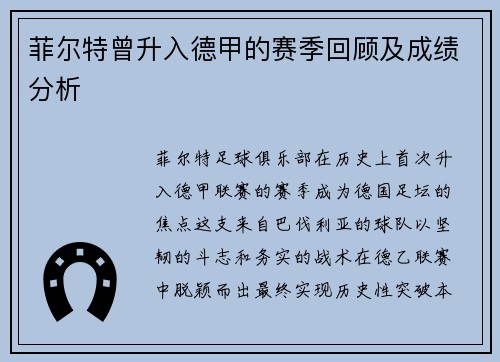 菲尔特曾升入德甲的赛季回顾及成绩分析